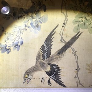 Een set van vier Chinese aquarellen van vogels bij bloesemtakken en kalligrafie, in kader, 19e eeuw — foto 9