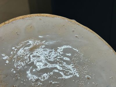 Een uiterst zeldzame blauw-witte Delftse tuitpot, begin 18e eeuw — foto 22