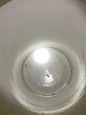 Een uitzonderlijk groot paar Chinese blauw-witte dekselvazen, 19/20e eeuw — foto 16
