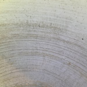 Een uitzonderlijk grote Chinese blauw-witte vissenkom met lotusslingers, Kangxi — foto 24