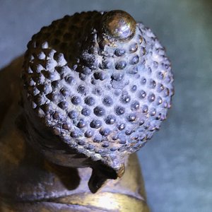 Een verguld bronzen figuur van Boeddha Shakyamuni, Tibet, 15/16e eeuw — foto 30