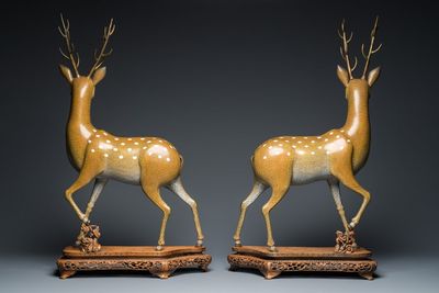 Een zeer fijn en groot paar Chinese cloisonné herten op opengewerkte houten sokkels, 19e eeuw — foto 3