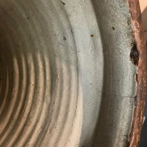 Een zeer grote albarello in Italiaanse majolica, Deruta, 17e eeuw — foto 10