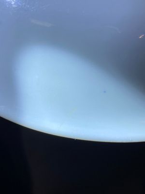 Een zeldzaam Chinees blauw-wit 'Xi Xiang Ji' bord met een gedeelte van een gedicht, Jiajing merk, Transitie periode — foto 13