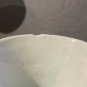 Een zeldzame Chinese blauw-witte vaas met een tijger en twee vlinders, Transitie periode — foto 15