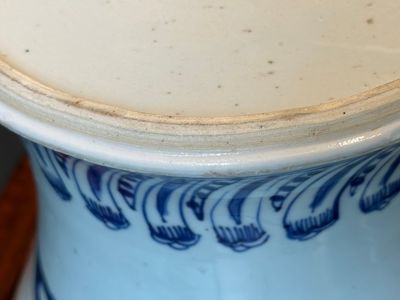 Een zeldzame en bijzondere Chinese blauw-witte vaas met floraal decor, Kangxi — foto 11