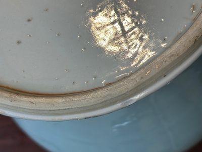 Een zeldzame en bijzondere Chinese blauw-witte vaas met floraal decor, Kangxi — foto 14