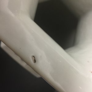 Een zeshoekige Chinese vaas met qianjiang cai decor, 19/20e eeuw — foto 10