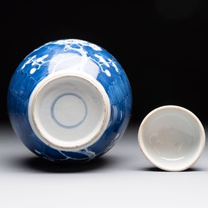 Eight Chinese blue and white 'prunus on cracked ice' wares, 19th C. — 照片 13