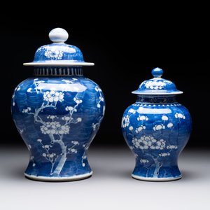 Eight Chinese blue and white 'prunus on cracked ice' wares, 19th C. — 照片 20