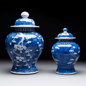 Eight Chinese blue and white 'prunus on cracked ice' wares, 19th C. — 照片 21