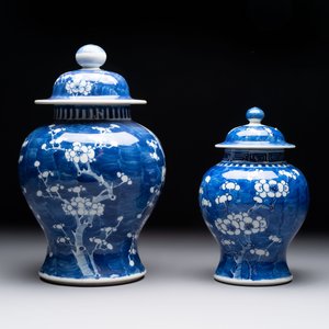Eight Chinese blue and white 'prunus on cracked ice' wares, 19th C. — 照片 22