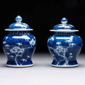 Eight Chinese blue and white 'prunus on cracked ice' wares, 19th C. — 照片 26