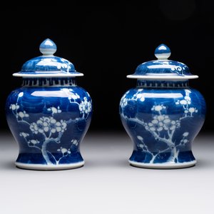 Eight Chinese blue and white 'prunus on cracked ice' wares, 19th C. — 照片 28