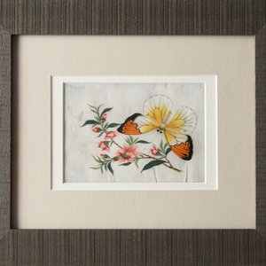 Eight Chinese Canton rice paper paintings with flowers and butterflies, 19th C. — 照片 5