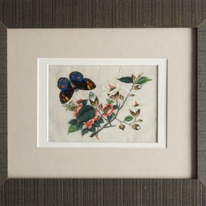 Eight Chinese Canton rice paper paintings with flowers and butterflies, 19th C. — 照片 9