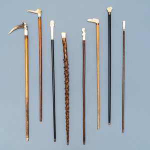 Eight mostly ivory-handled canes, one cactus cane, 19th C. — 照片 1