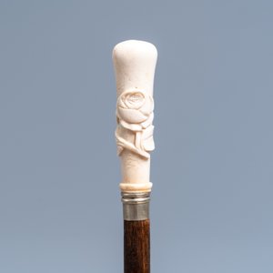 Eight mostly ivory-handled canes, one cactus cane, 19th C. — 照片 14