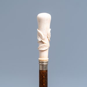 Eight mostly ivory-handled canes, one cactus cane, 19th C. — 照片 15