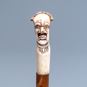 Eight mostly ivory-handled canes, one cactus cane, 19th C. — 照片 6