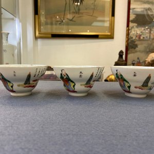 Elf Chinese famille rose 'Wu Shuang Pu' schotels en zes koppen, overwegend Daoguang merk en periode — foto 31