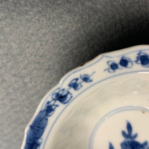 Elf gelobde Chinese blauw-witte koppen en schotels, Kangxi — foto 26