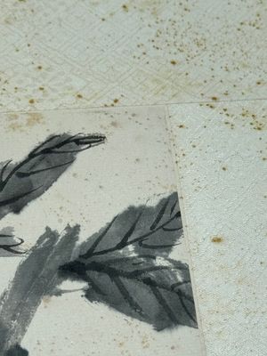 Feng Chaoran 馮超然 (1882-1954) and Jiang Hanting 江寒汀 (1904-1963): 'Peony' and 'Two squirrels on the persimmon tree', ink and colour on paper — foto 17