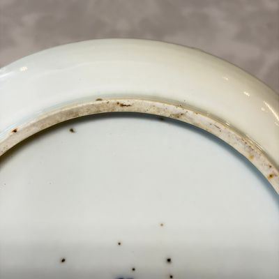 Five Chinese blue and white 'Bleu de Hue' 'Riverscape' plates — photo 31