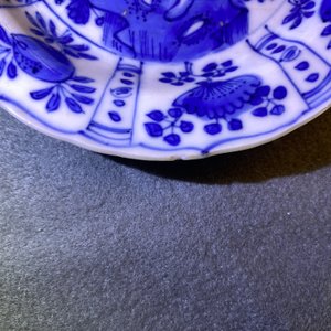 Five Chinese blue and white kraak porcelain dishes with deer and grasshoppers, Wanli — photo 10