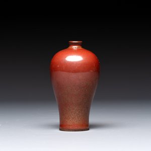 Five Chinese monochrome miniature vases, 19th C. — foto 2