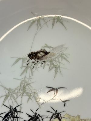 Five Chinese polychrome plates, signed Zou Furen 邹甫仁, dated 1989 — photo 21