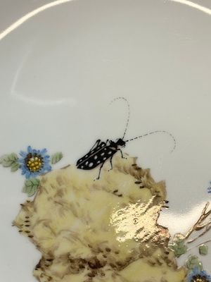 Five Chinese polychrome plates, signed Zou Furen 邹甫仁, dated 1989 — photo 28
