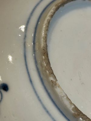 RETURNED 10/12/24 Five Chinese Swatow blue and white 'rooster' plates, Ming — photo 9
