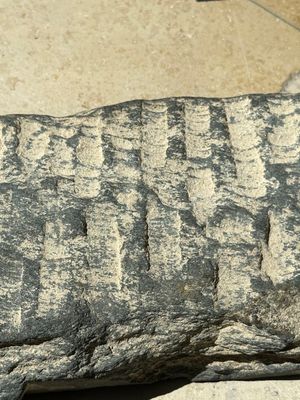 Five Gandhara grey schist frieze fragments with narrative design, 1/5th C. — 照片 23