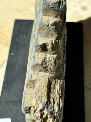 Five Gandhara grey schist frieze fragments with narrative design, 1/5th C. — 照片 56