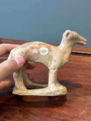 Five varied Chinese pottery animals, Han — 照片 24