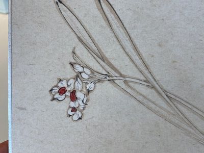 Follower of Zhang Daqian 張大千 (1898-1983): 'Beauty' and 'Orchid', ink and colour on paper — 照片 9