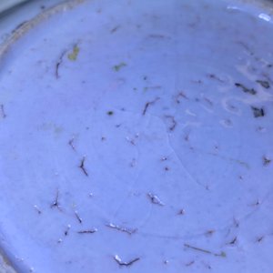 Four Chinese blue and white plates, Wanli and late Ming — photo 10
