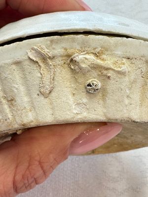 Four Chinese white-glazed boxes and covers with incised floral design from the Jepara shipwreck, Dehua or Anxi kiln, Song — photo 43