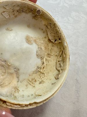 Four Chinese white-glazed boxes and covers with incised floral design from the Jepara shipwreck, Dehua or Anxi kiln, Song — photo 51
