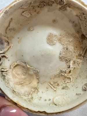 Four Chinese white-glazed boxes and covers with incised floral design from the Jepara shipwreck, Dehua or Anxi kiln, Song — photo 52