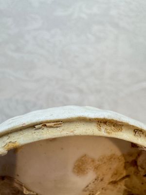 Four Chinese white-glazed boxes and covers with incised floral design from the Jepara shipwreck, Dehua or Anxi kiln, Song — photo 54