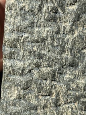 Four Gandhara grey schist fragments with Buddha and Bodhisattva, 1st/3rd C. — 照片 13