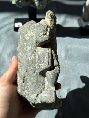 Four Gandhara grey schist fragments with Buddha and Bodhisattva, 1st/3rd C. — 照片 24