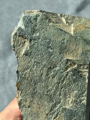 Four Gandhara grey schist fragments with Buddha and Bodhisattva, 1st/3rd C. — 照片 33