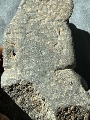 Four Gandhara grey schist fragments with Buddha and Bodhisattva, 1st/3rd C. — 照片 47