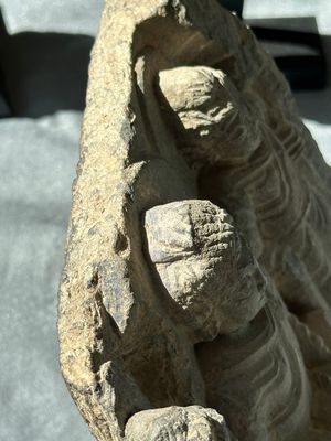 Four Gandhara grey schist fragments with Buddha and Bodhisattva, 1st/3rd C. — 照片 9