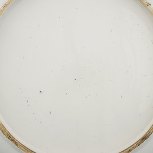 Grand plat doucai en porcelaine de Chine, Kangxi ou Yongzhen — photo 4