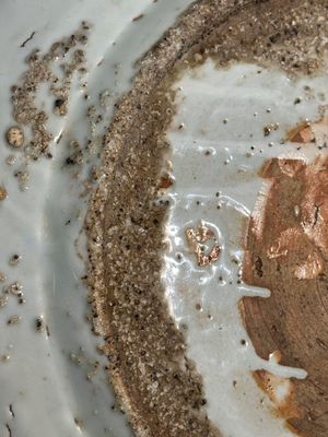 Grand plat en porcelaine de Chine en bleu et blanc dite 'de Swatow' représentant un homard et une carpe dans un village de pêcheurs, Ming — photo 10