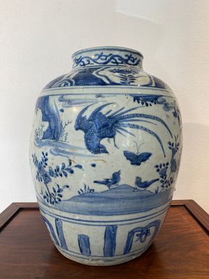 Grand pot en porcelaine de Chine en bleu et blanc à décor d'un faisan, Ming — photo 1